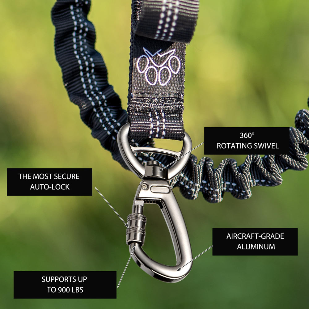PetVenture diseño resistente a la intemperie, ideal para todas las estaciones.