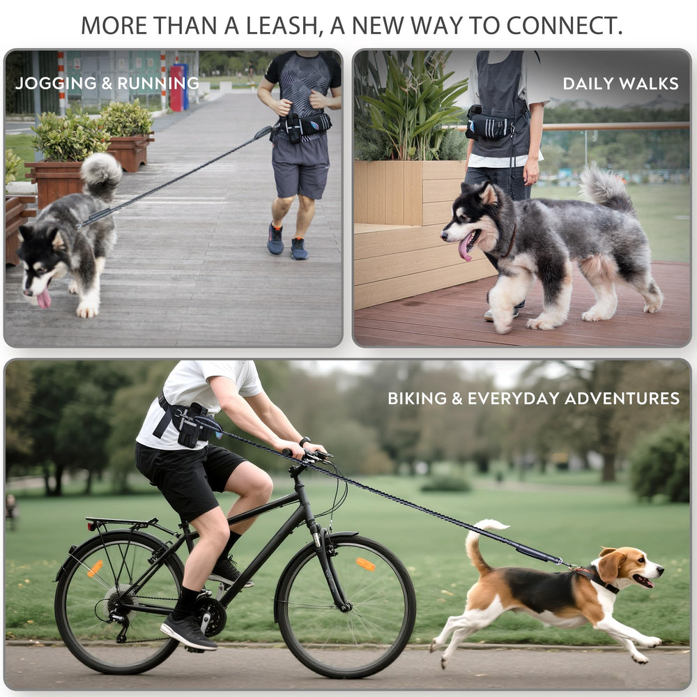 PetVenture gancho de seguridad auto-cierre, sujeción robusta para tirones.