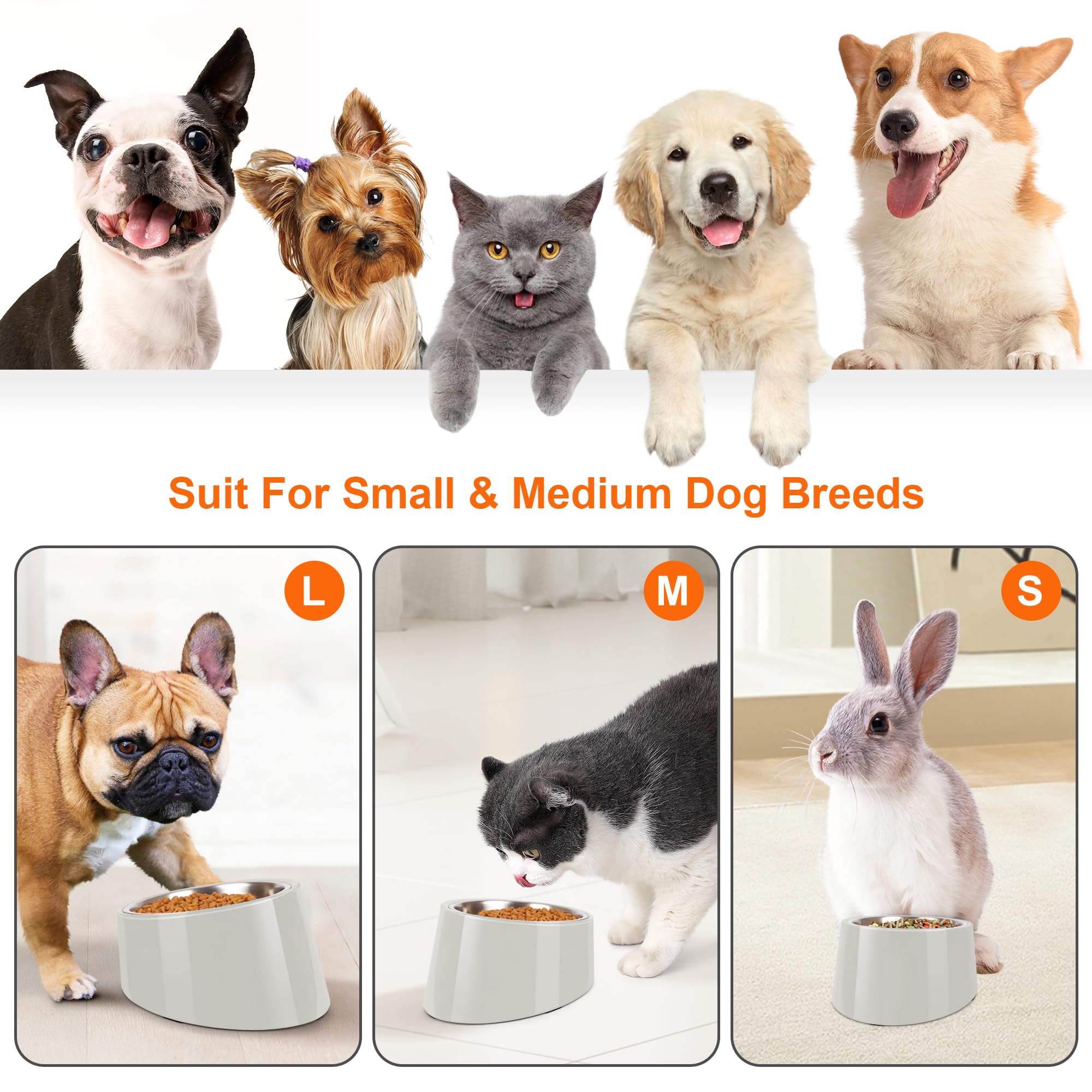 Petvillage base melamina desmontable para rellenar y limpiar cómodamente.