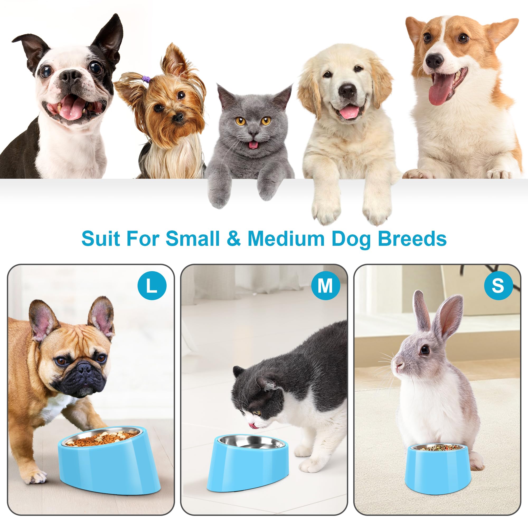 Petvillage limpieza rápida y apto para lavavajillas.