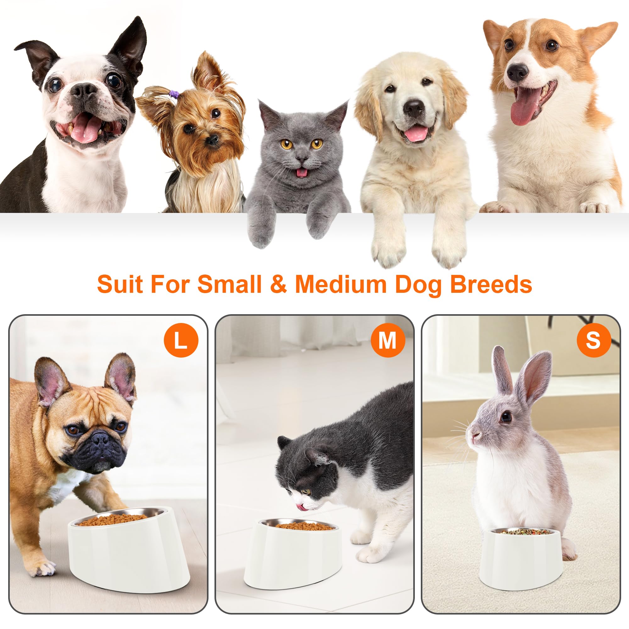 Petvillage tazón de acero inoxidable extraíble facilita la limpieza y el rellenado.