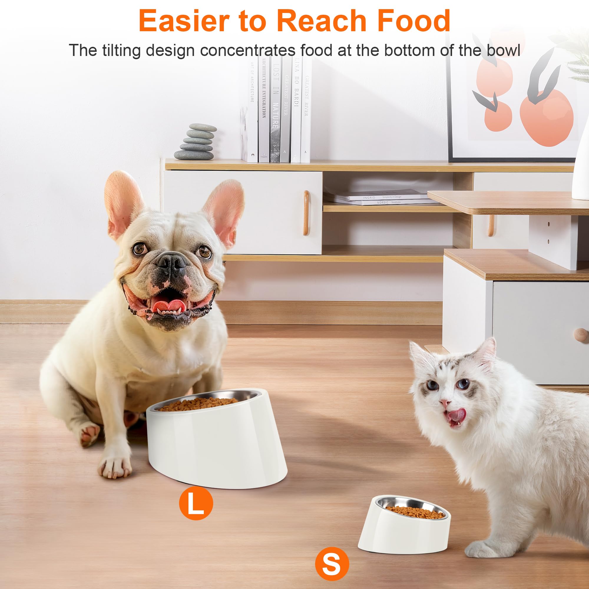 Petvillage tazón medio ideal para perros y gatos de tamaño medio.