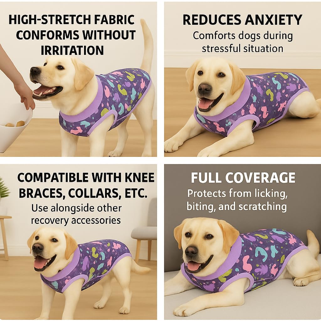 PetWarm ropa para mascotas moda y confort en un conjunto práctico