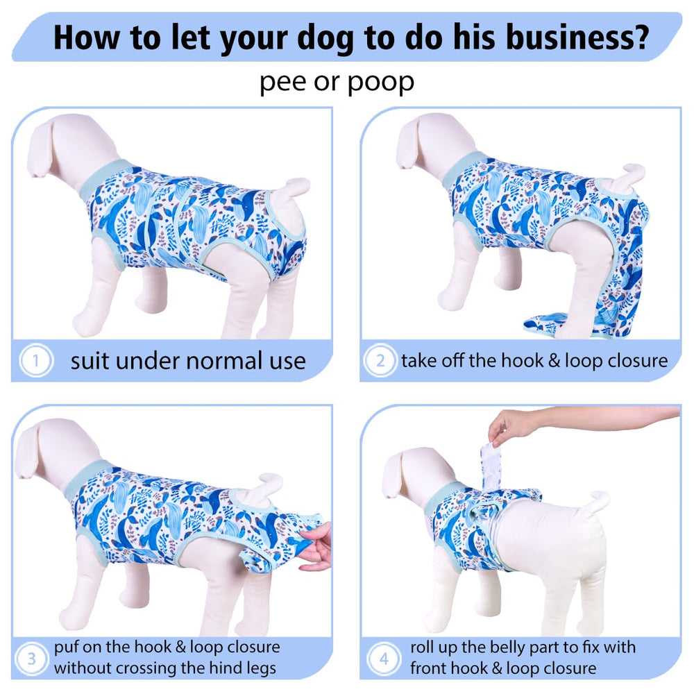 PetWarm talla XS a 2XL garantiza ajuste cómodo para diferentes perros.