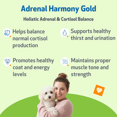 Petwellbeing Adrenal Harmony Gold, gotero para dosis precisas en perros.
