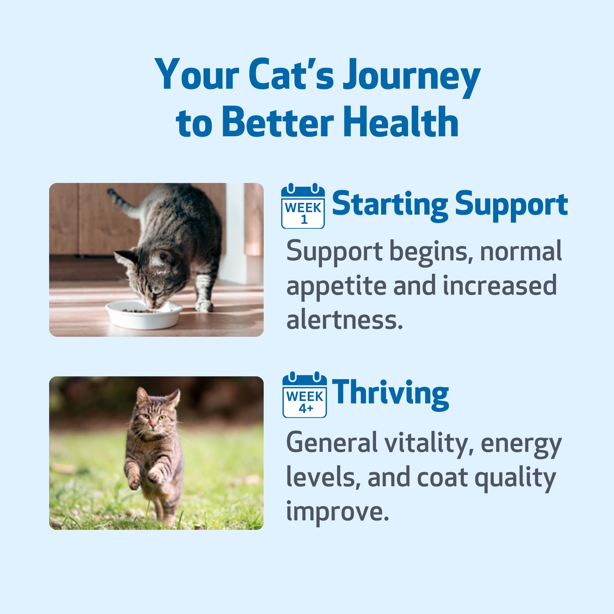 Pet Wellbeing Life Gold apoyo al bienestar diario del gato