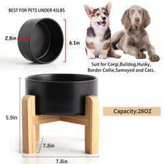 Tazón cerámico con base para perros, ideal para comida diaria