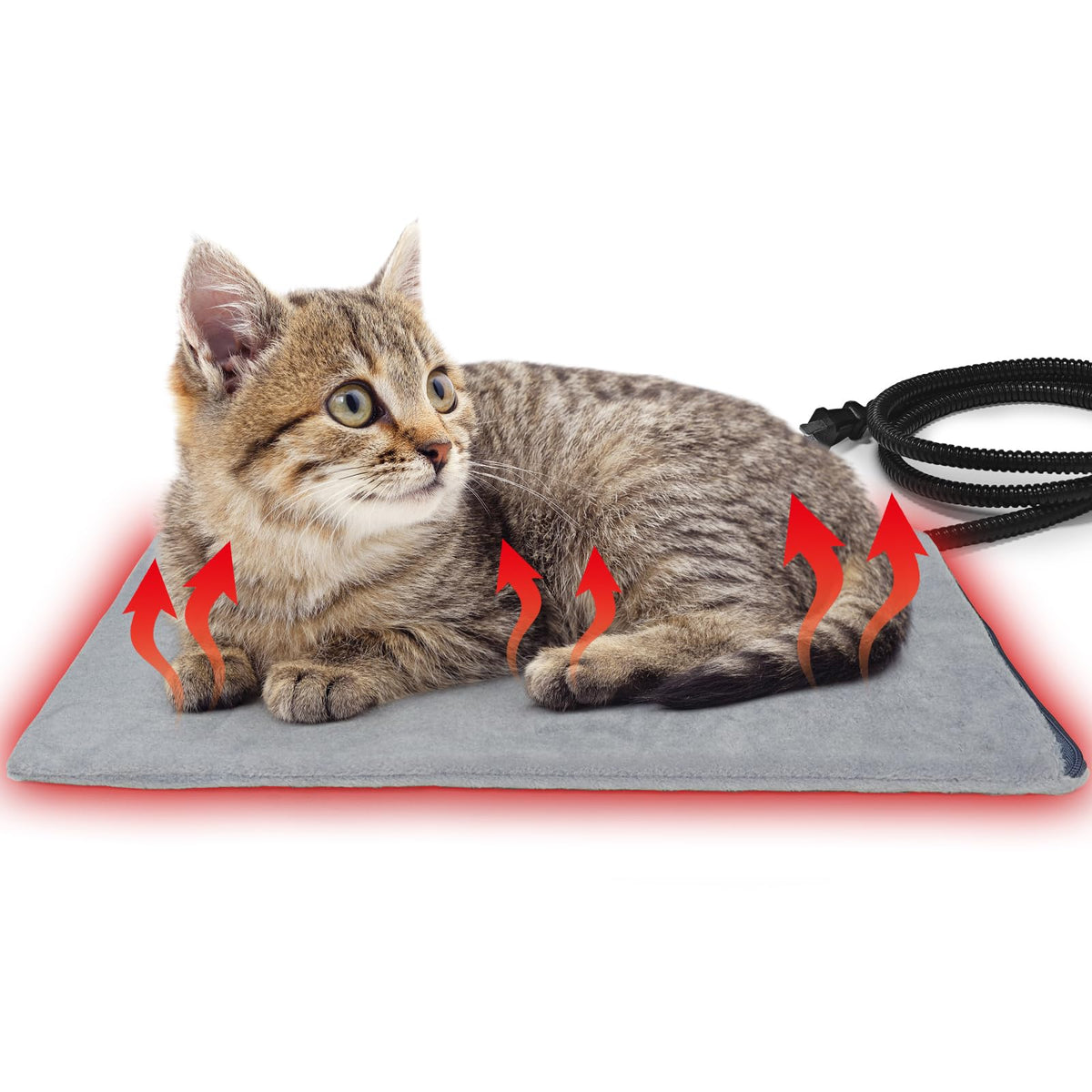 PETZOOKA cama caliente para gatos con calor suave y seguro.