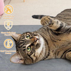 PETZOOKA cama-calor-gatos, ambiente cálido para felinos