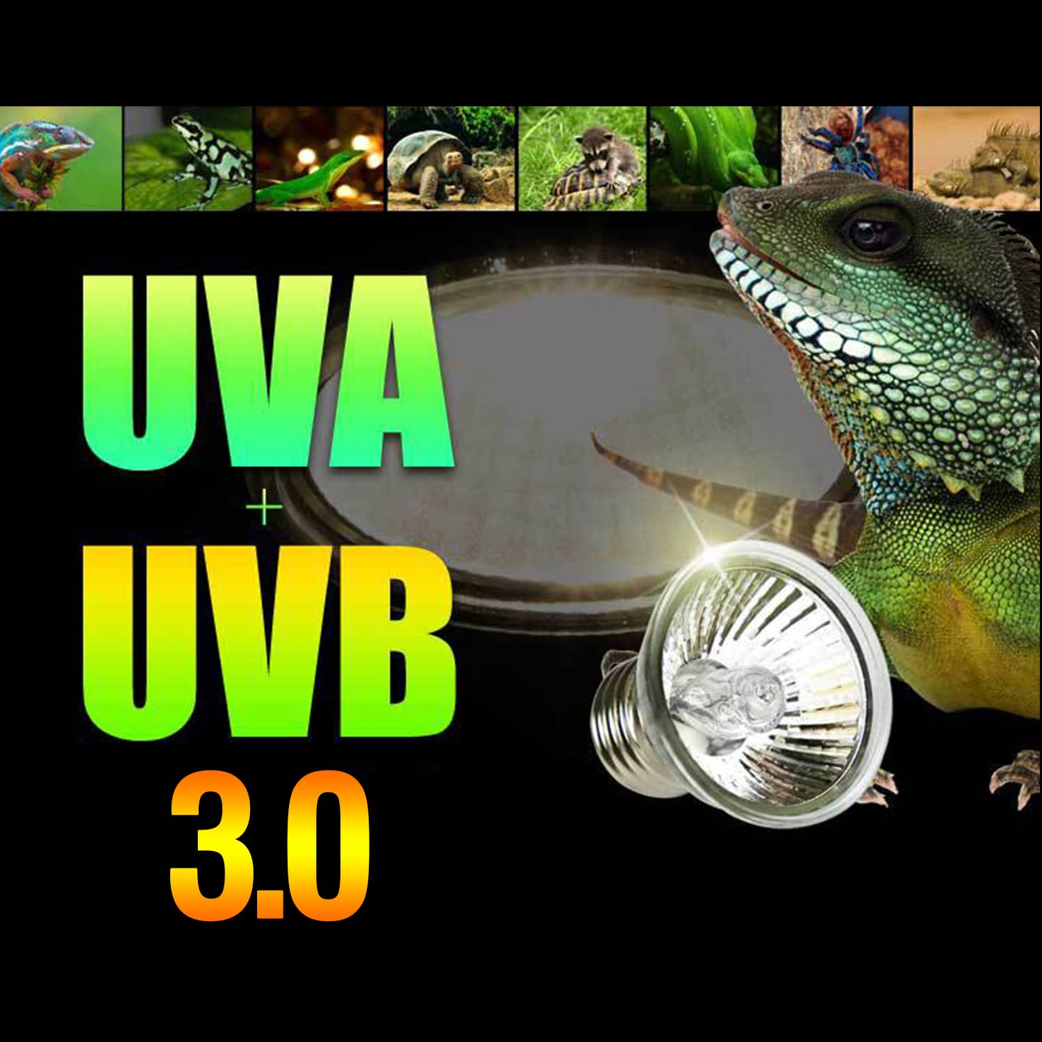 Uso diario con PewinGo 50W para reptiles y aves pequeñas.