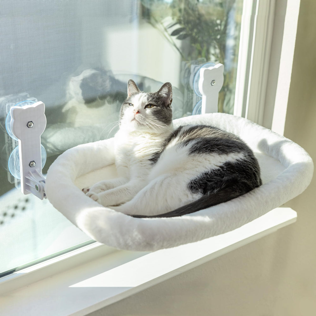 Peyela percha ventana gato: asiento cómodo con vista segura para tu gato.