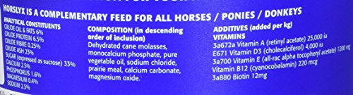 PFIFF Horslyx Minis Horse Licks 650 g en la mano, entrega fácil en la cuadra.