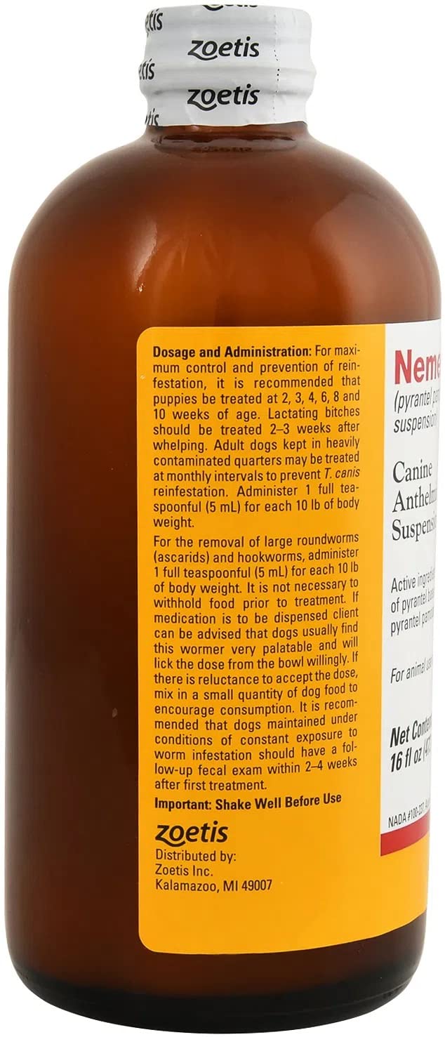 Pfizer Nemex 2-16 oz: perro recibiendo tratamiento seguro y cómodo