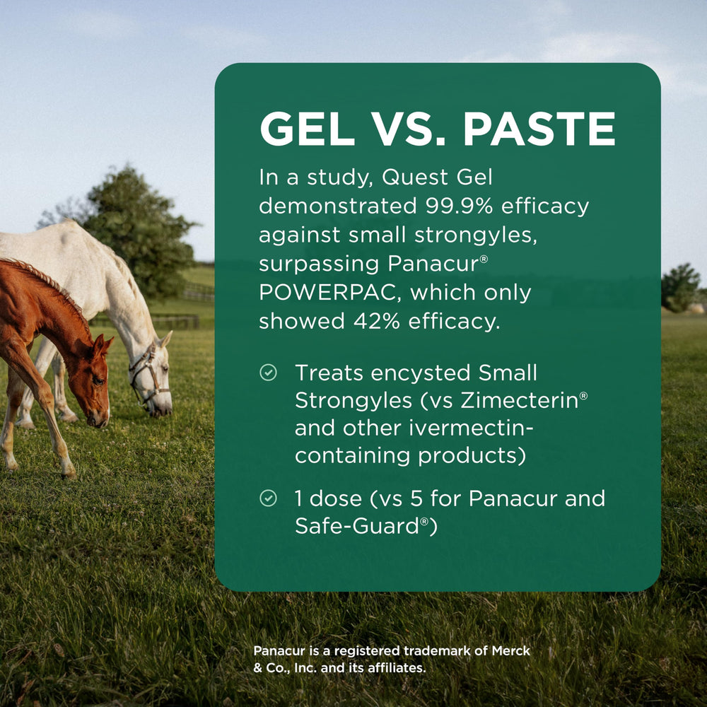Quest Gel, uso recomendado en época de pastoreo temprano para caballos y ponis.