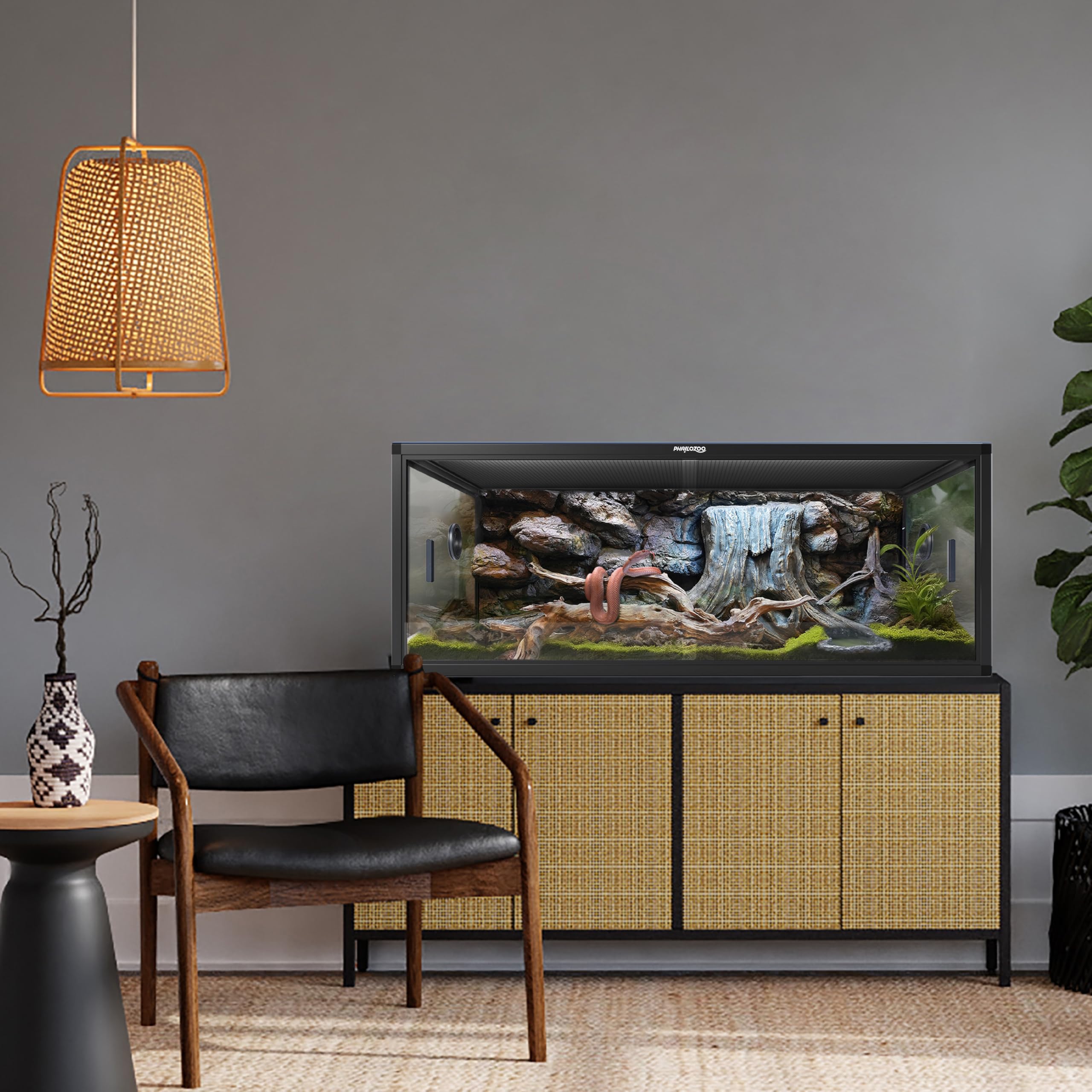 Phailozoo tanque reptiles dimensiones 48x24x18 ofrecen amplio espacio