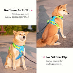 PHOEPET ajuste de cuatro cintas, talla adaptable para crecimiento del perro.