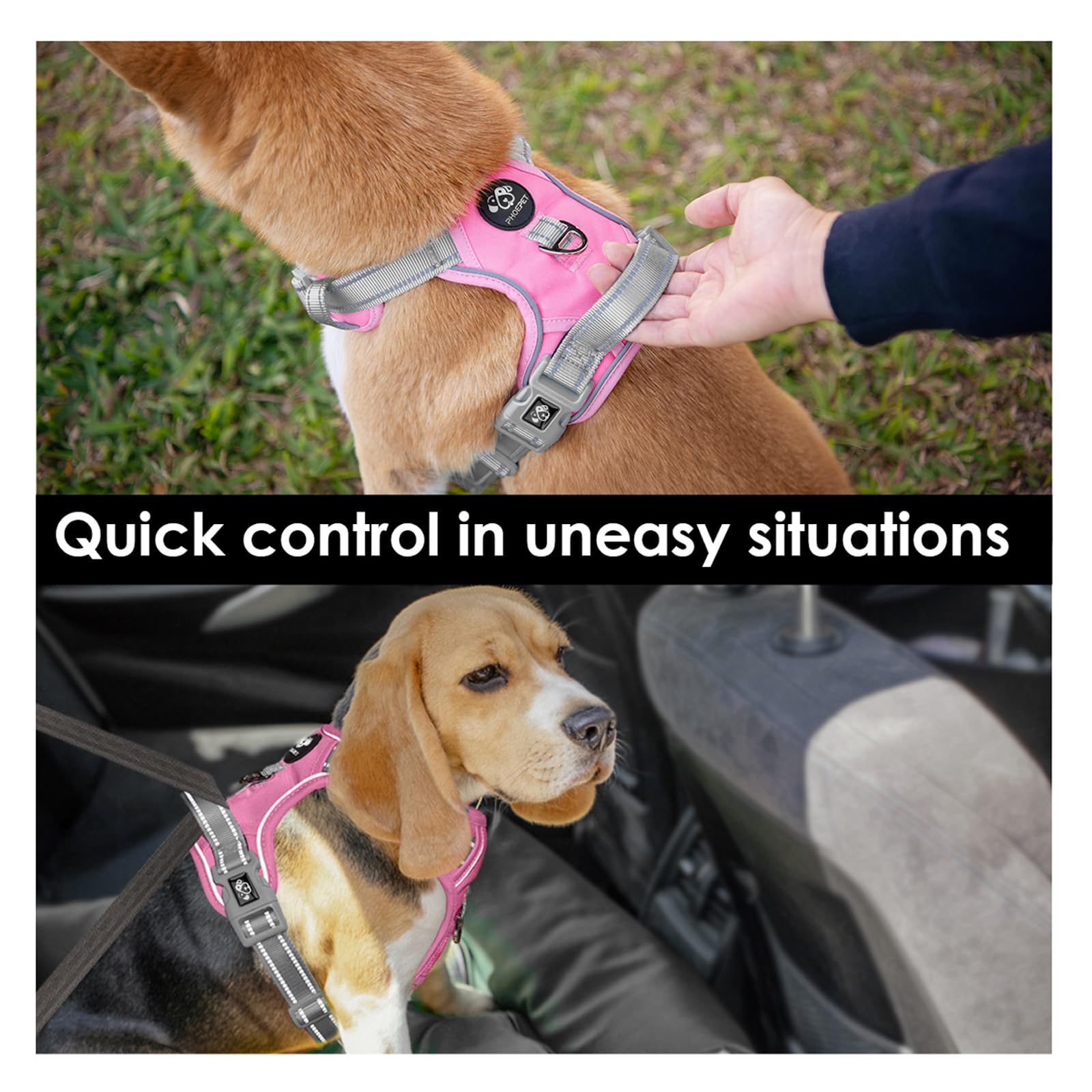 PHOEPET ajuste de cuatro correas para crecimiento seguro