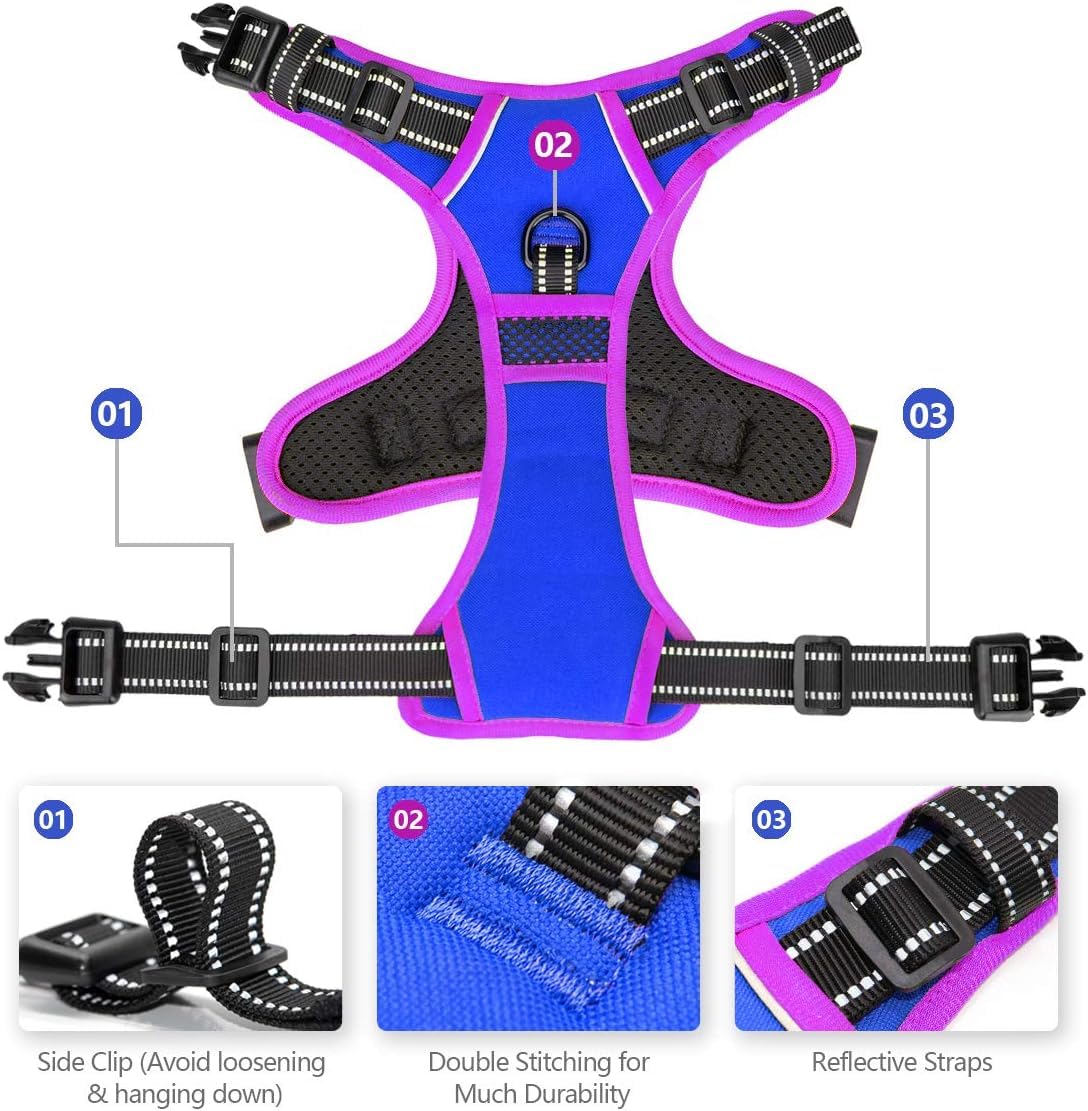 PHOEPET arnés ajustable con cuatro correas para ajuste perfecto y crecimiento