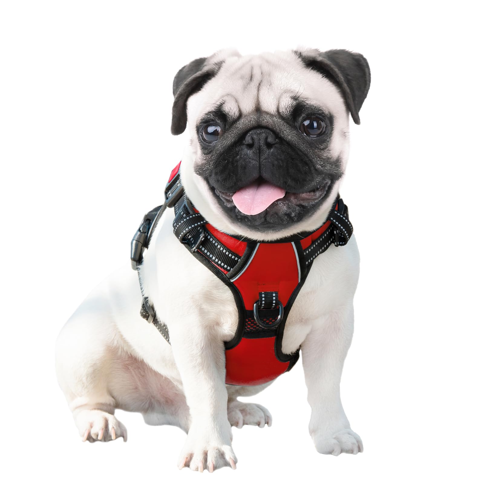 PHOEPET diseño fácil de poner y quitar para uso diario.
