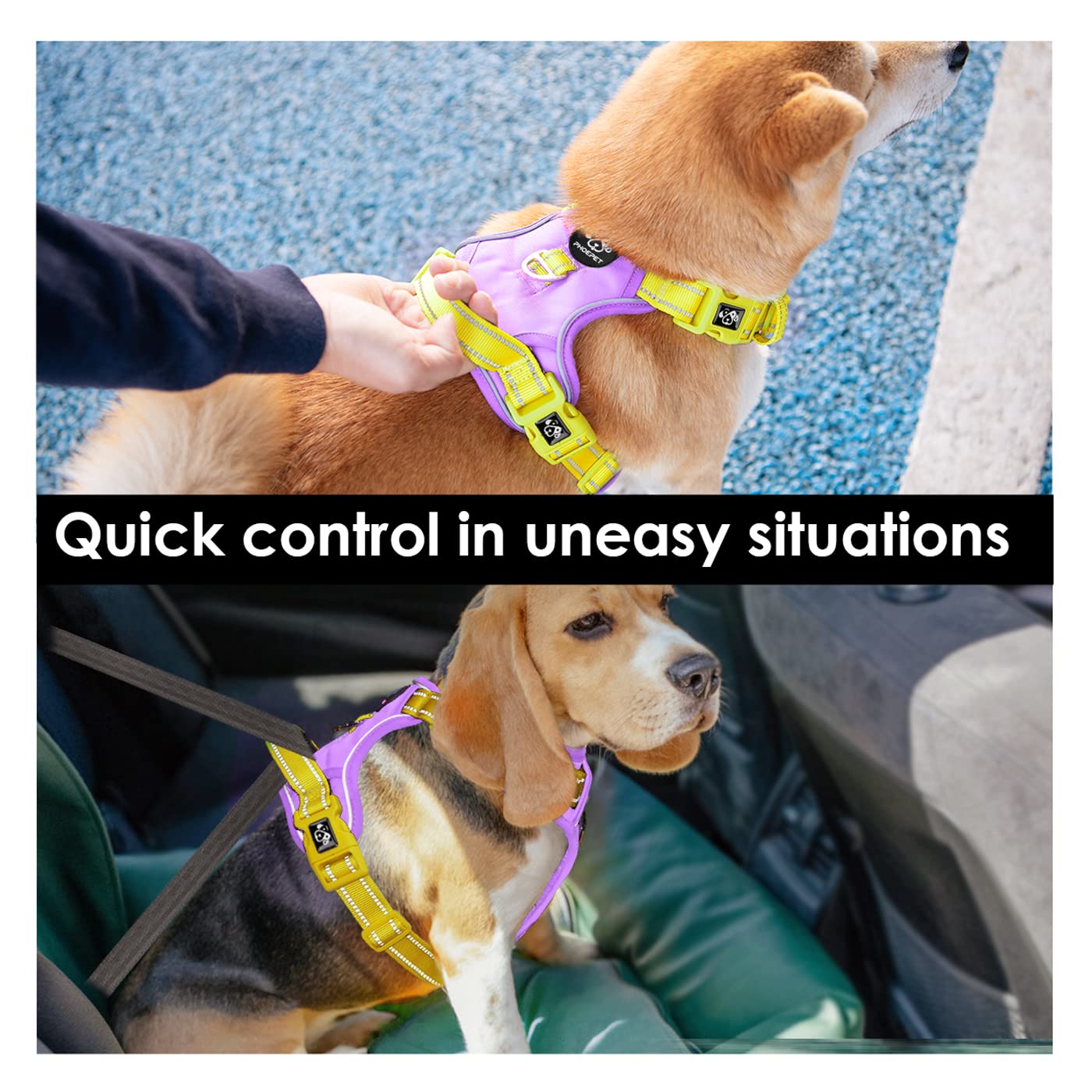 PHOEPET arnés de malla transpirable para perros activos.