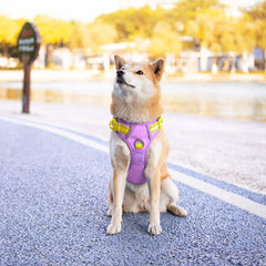 PHOEPET arnés con mango de entrenamiento suave para control amable.