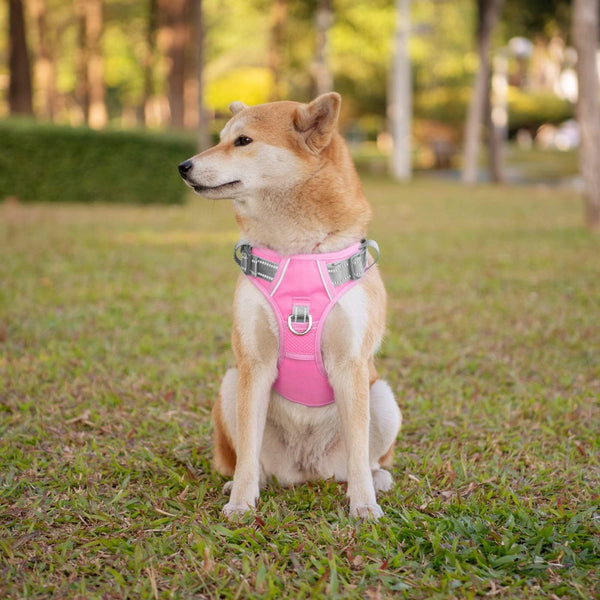 phoepet arnés con mango trasero acolchado para control suave.