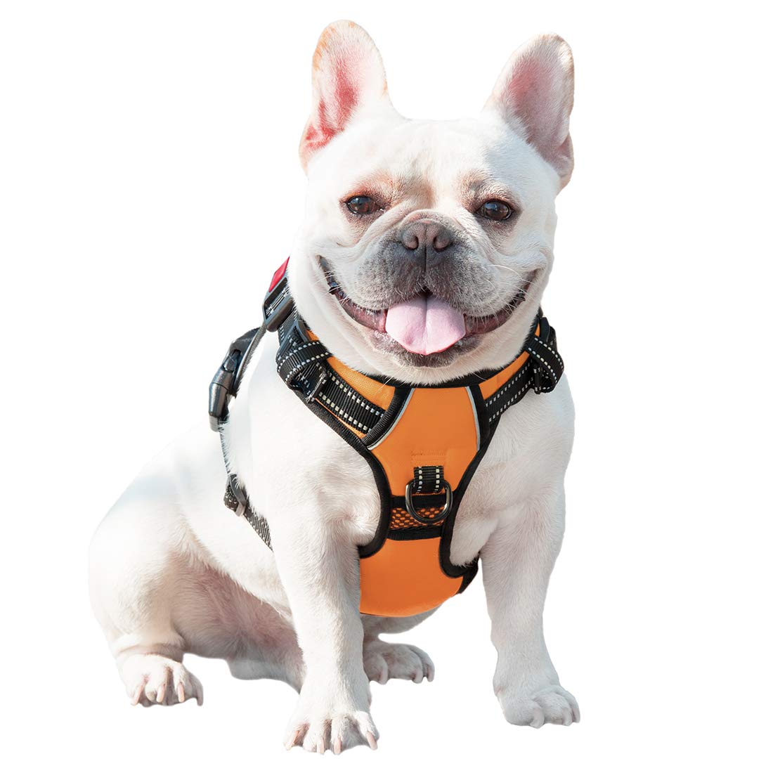 PHOEPET arnés naranja para perros pequeños, visible y cómodo.