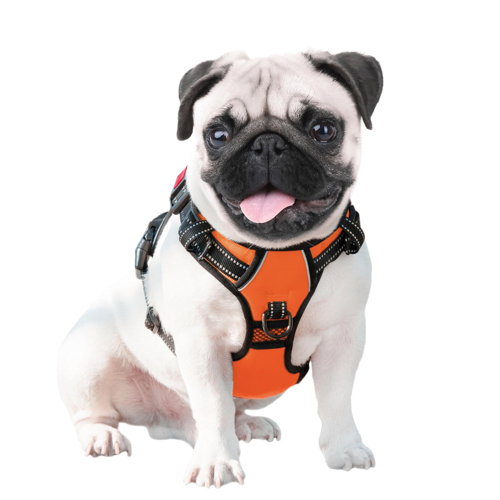 PHOEPET arnés naranja talla M para mayor visibilidad y comodidad.