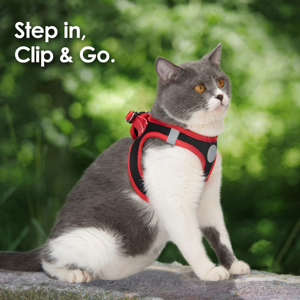 PHOEPET arnés práctico para paseos con dos ganchos, mayor control y seguridad.
