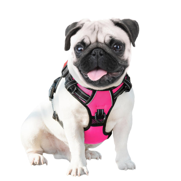 Arnés cómodo de Phoepet para perros grandes, ideal para paseos diarios.