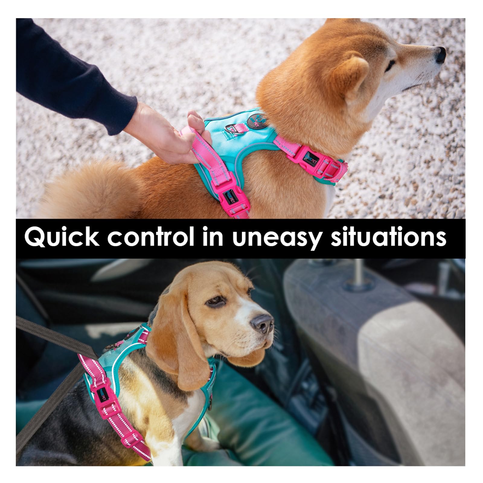 PHOEPET arnés ajustable con cuatro correas para ajuste perfecto.