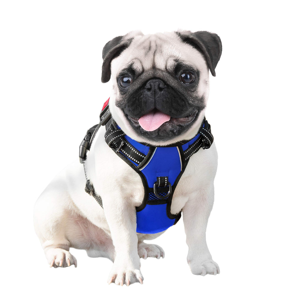 PHOEPET arnés para perro asa dorsal para asistencia y control