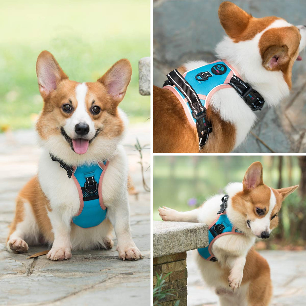 PHOEPET arnés mediano azul, ajuste cómodo para perros de complexión media.
