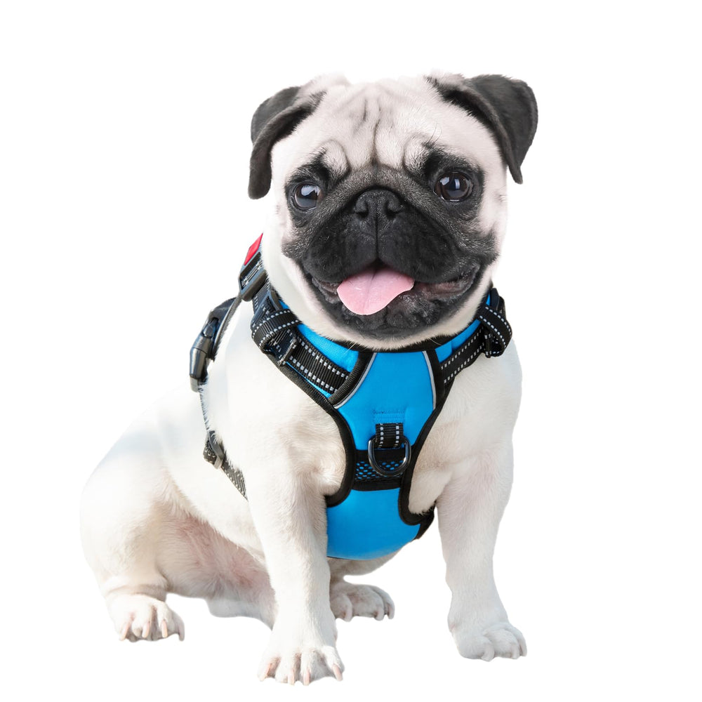 PHOEPET arnés robusto para paseos seguros y cómodos