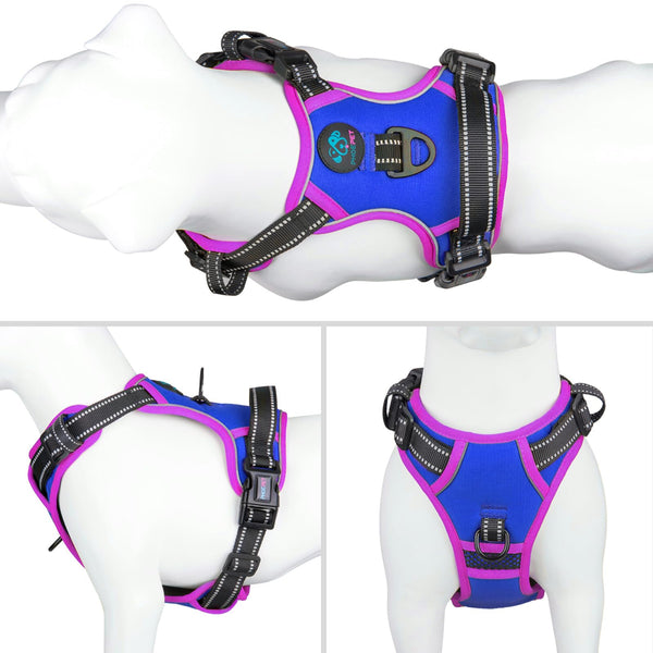 PHOEPET arnés reflectivo azul real para mayor visibilidad nocturna.