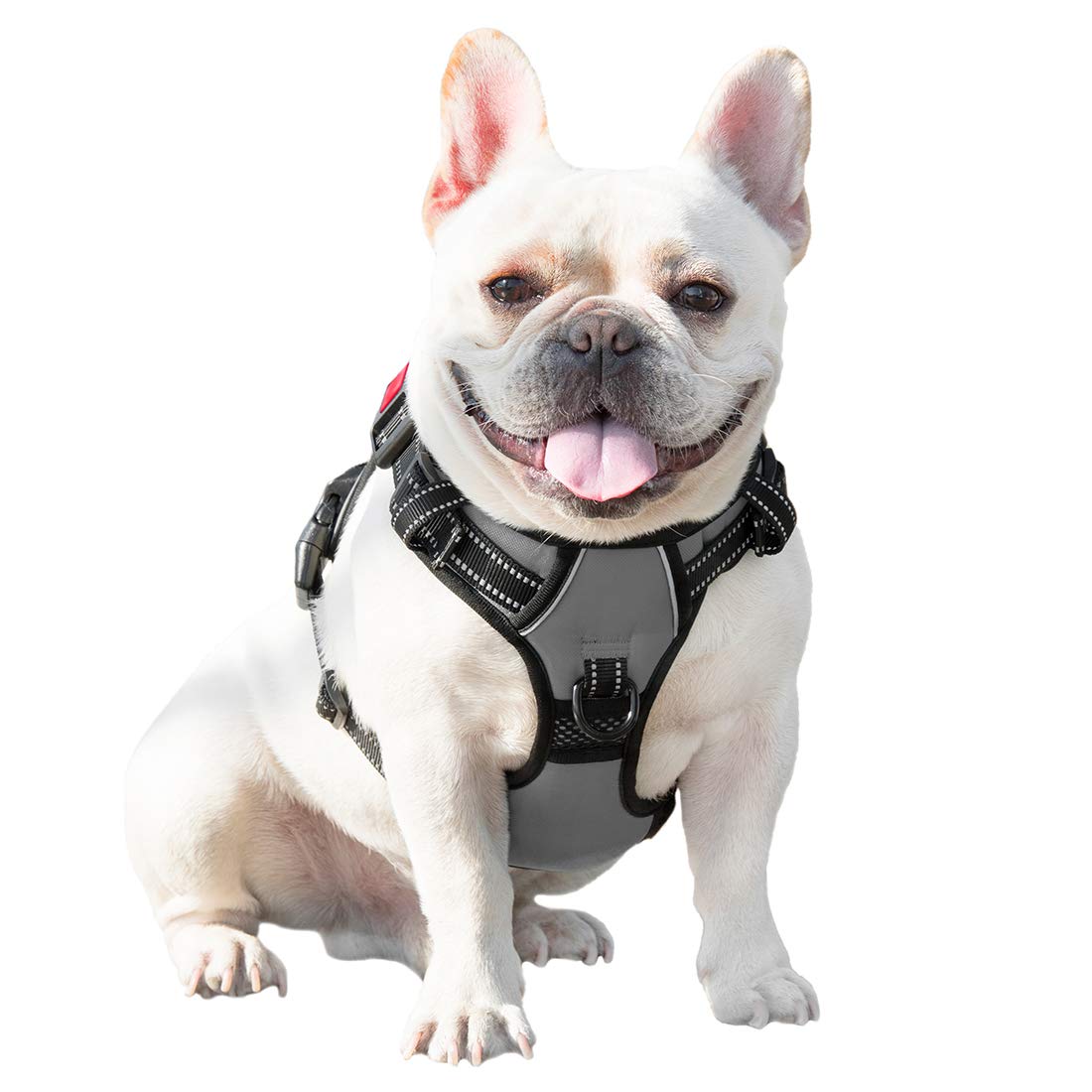 PHOEPET uso diario cómodo y duradero para paseos