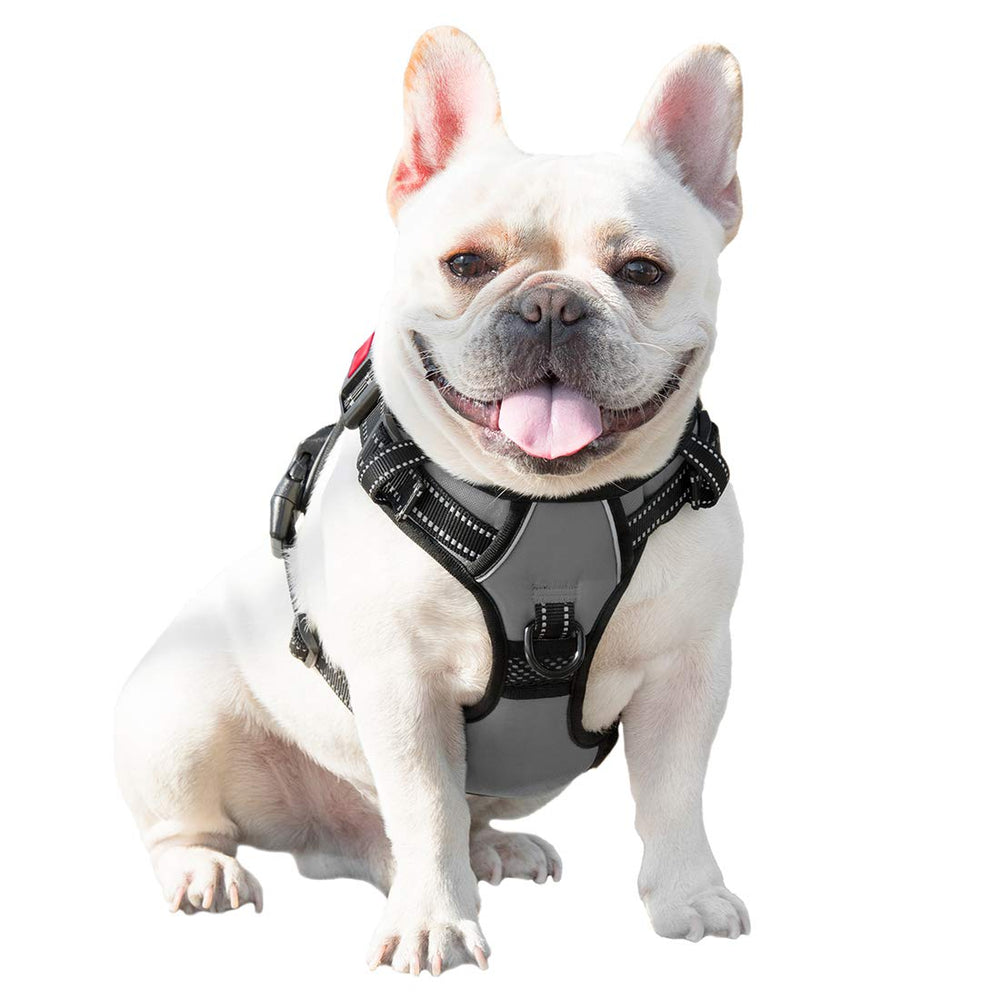 PHOEPET uso diario cómodo y duradero para paseos