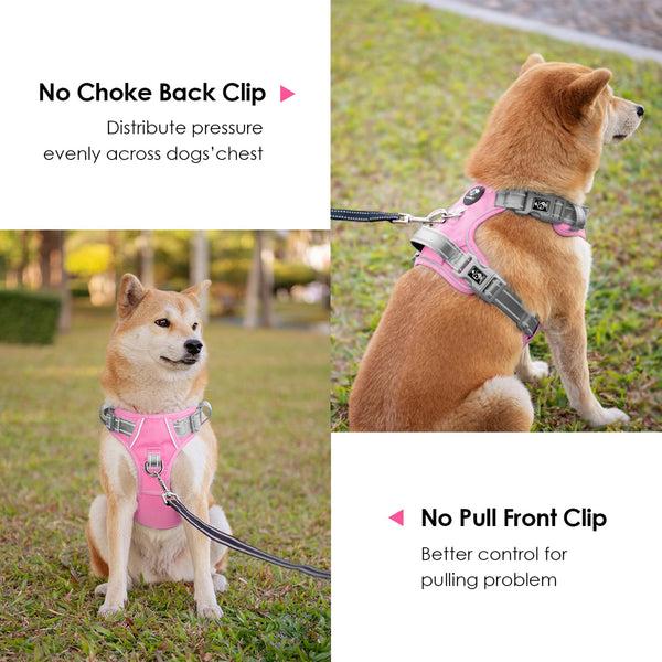 phoepet arnés reflectante para mayor visibilidad nocturna.