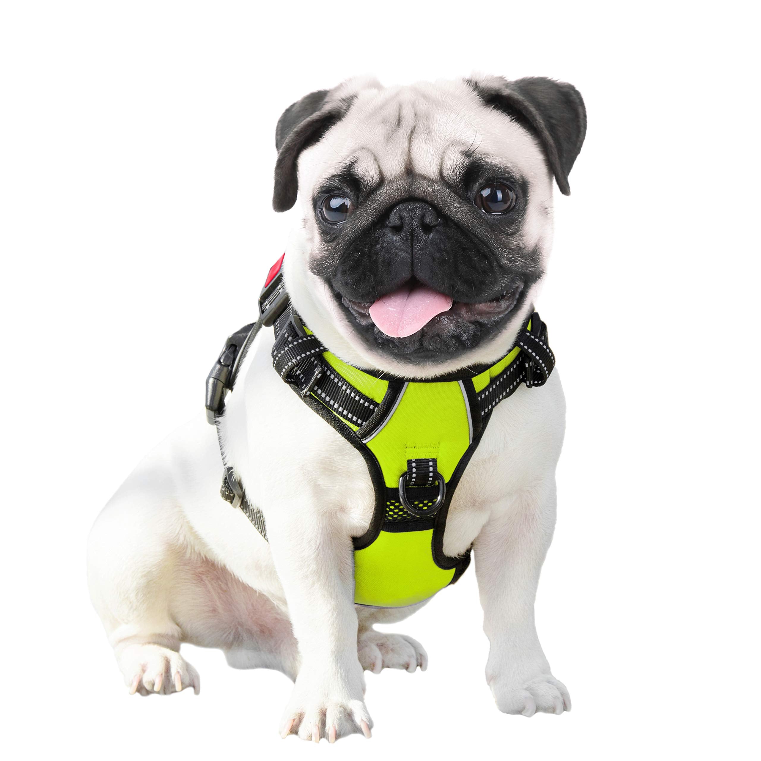 PHOEPET arnés resistente y cómodo para razas grandes durante caminatas largas