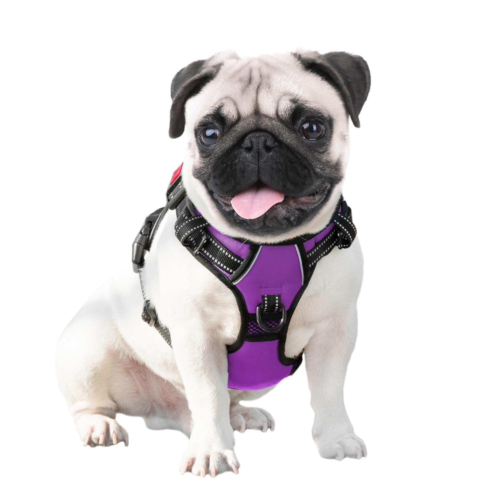 PHOEPET arnés ofrece visibilidad nocturna mejorada para paseos seguros.