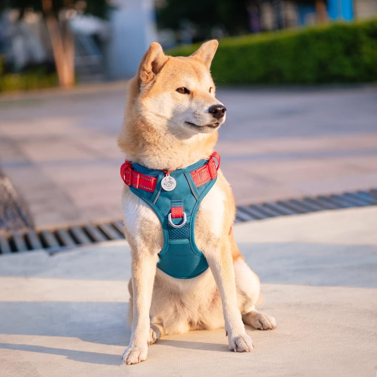 PHOEPET arnés ideal para paseos nocturnos gracias a su diseño seguro.