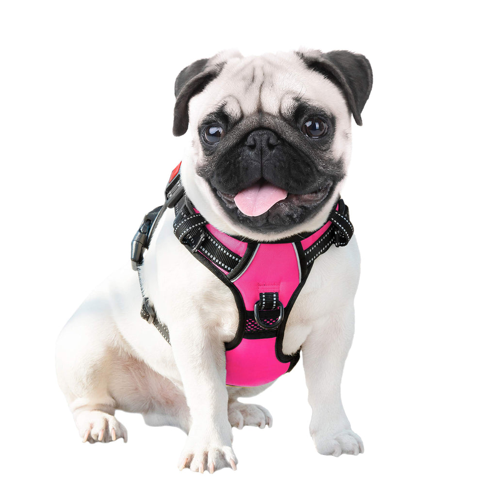 PHOEPET arnés XS rosa, talla ideal para perros muy pequeños