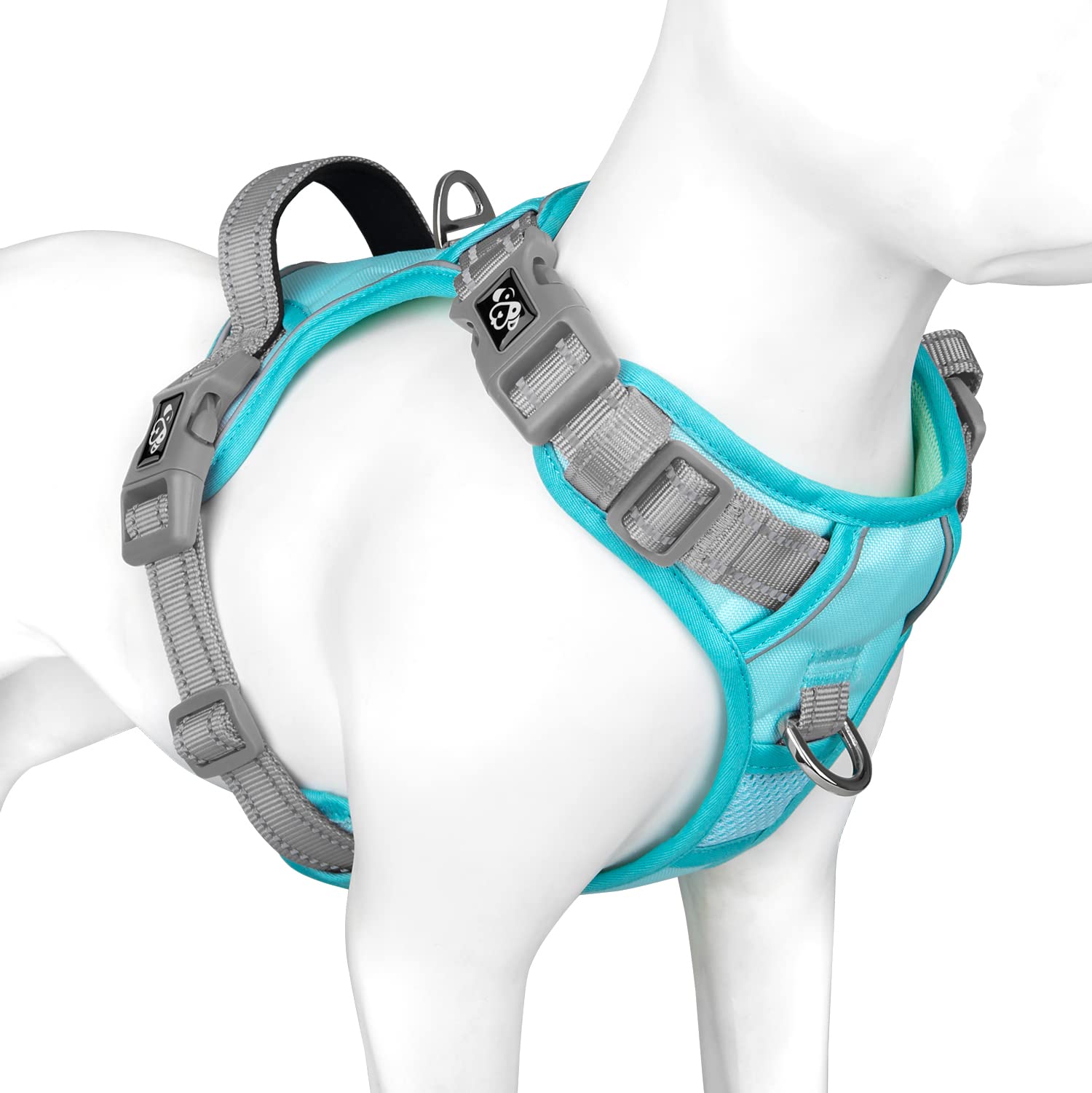 PHOEPET arnés sin tirar en verde menta con hebillas fáciles para paseos.