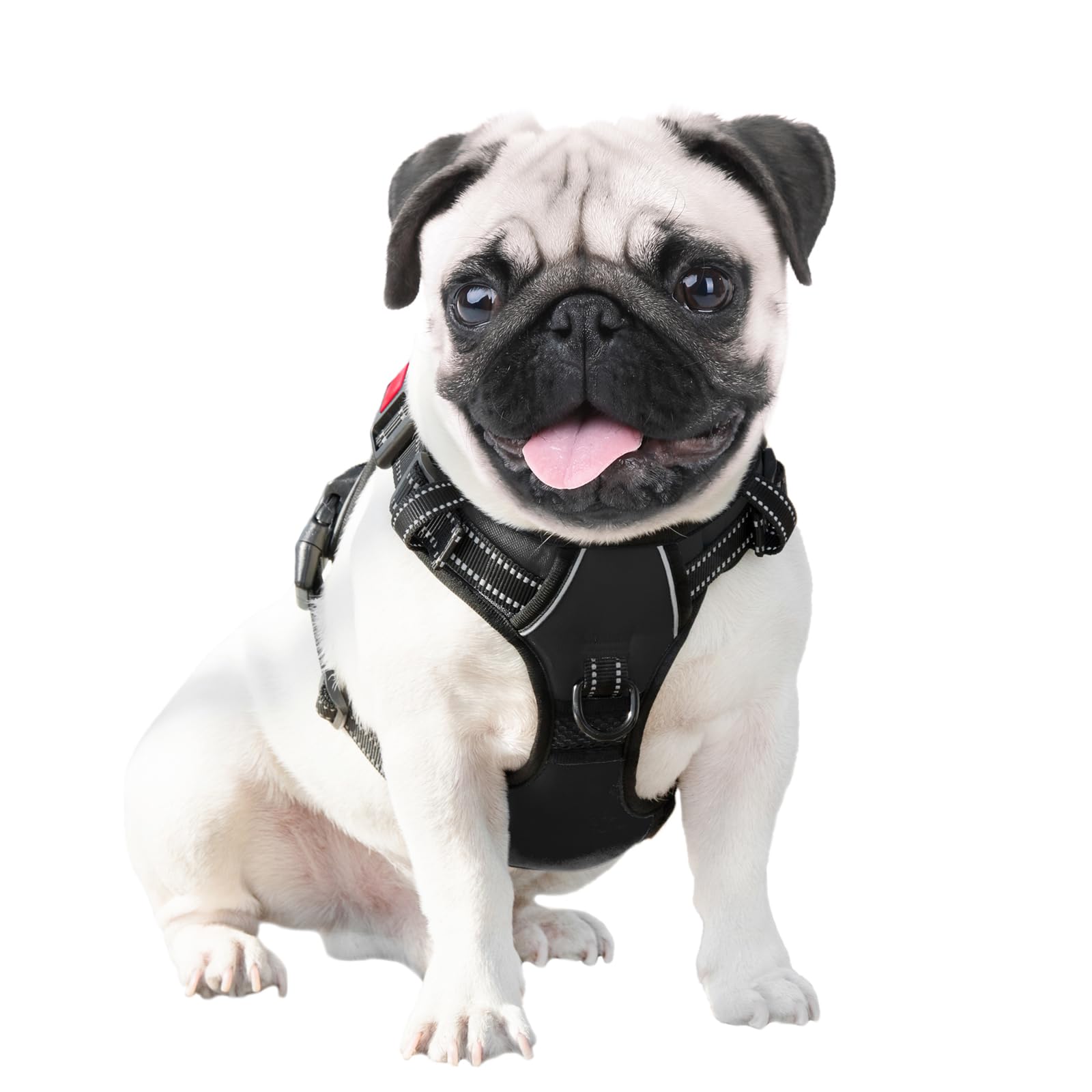 PHOEPET arnés cómodo con ajuste suave para paseos diarios y entrenamiento ligero.