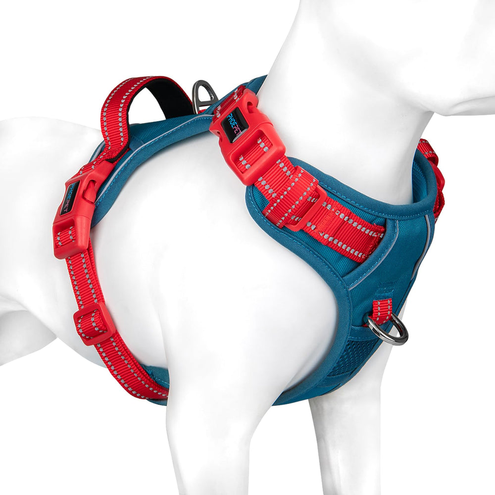 PHOEPET arnés sin tirón con base turquesa y correas rojas para paseos cómodos.