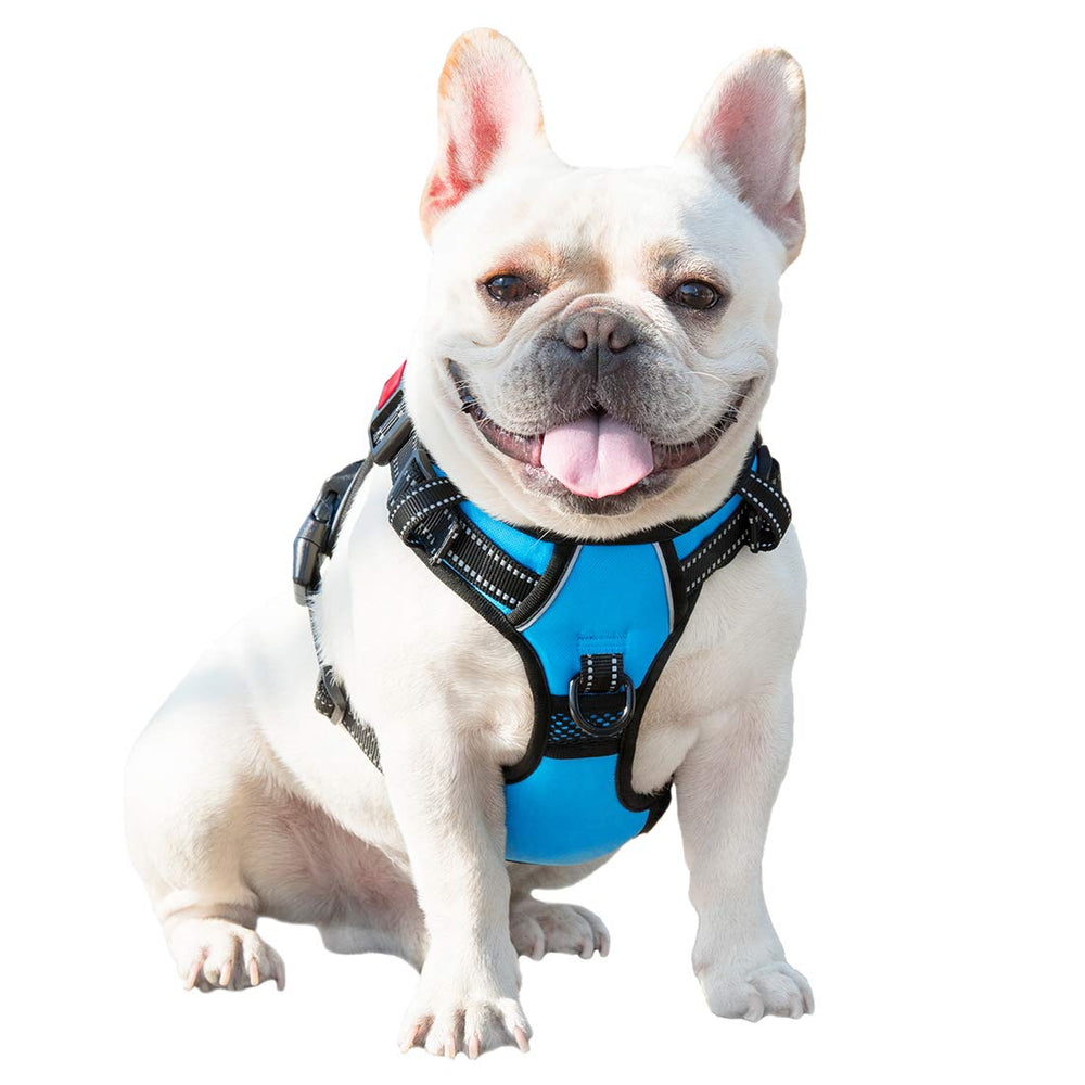 PHOEPET arnés azul XS, ajuste cómodo para perros pequeños