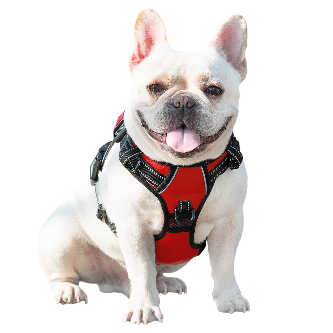 PHOEPET arnés tres hebillas perro pequeno rojo instalación rapida sin pasar por la cabeza