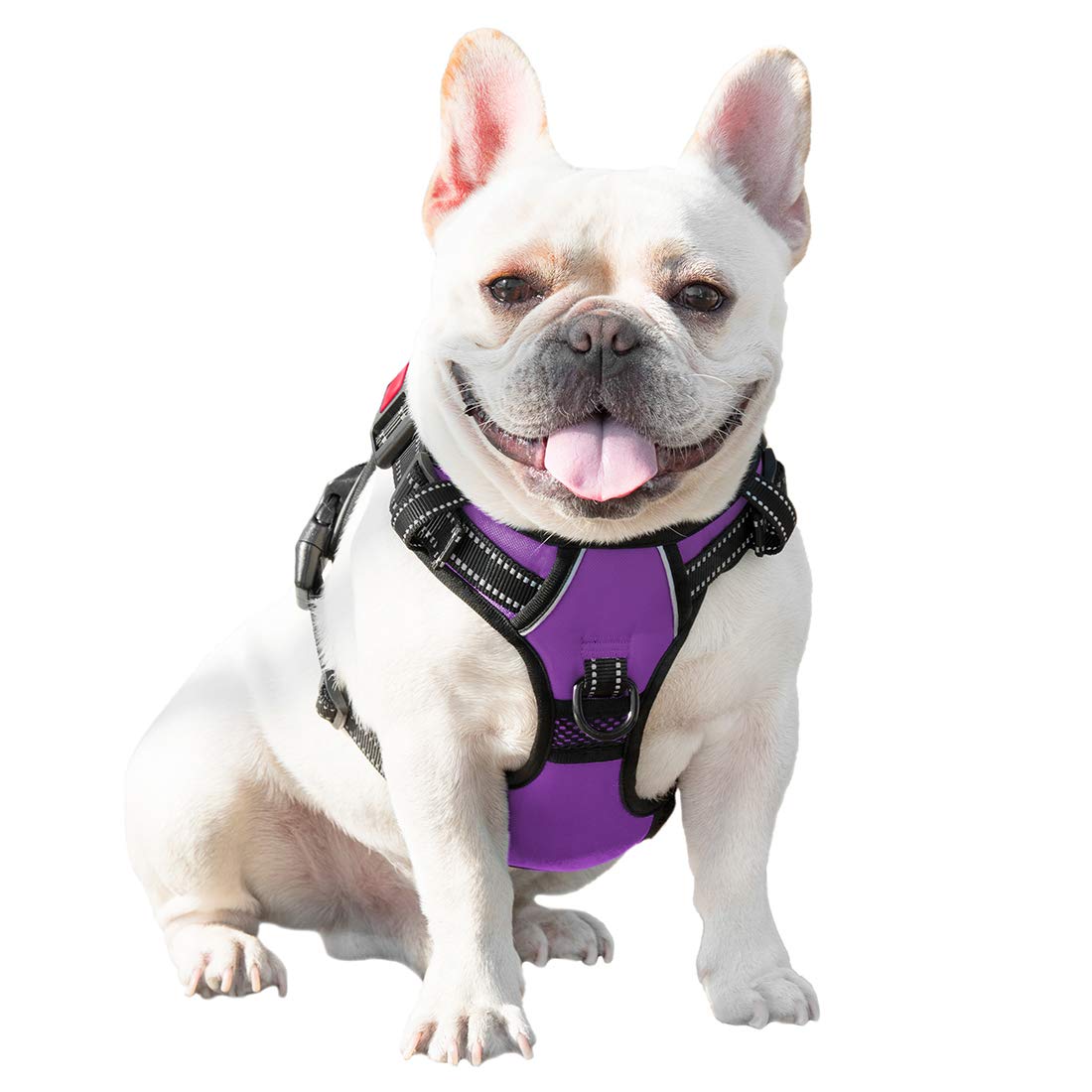 PHOEPET arnés diario para paseos seguros y confortables morado