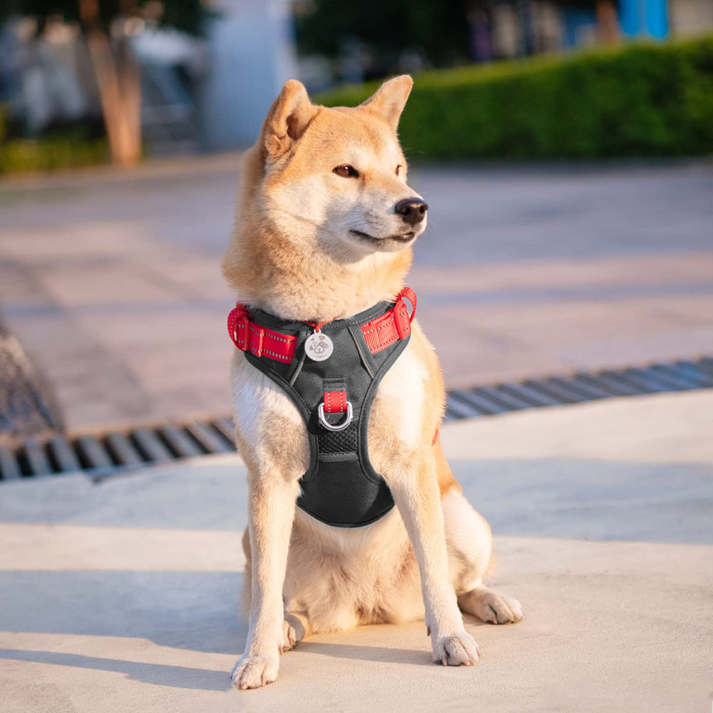 PHOEPET asa de entrenamiento suave para controlar al perro.