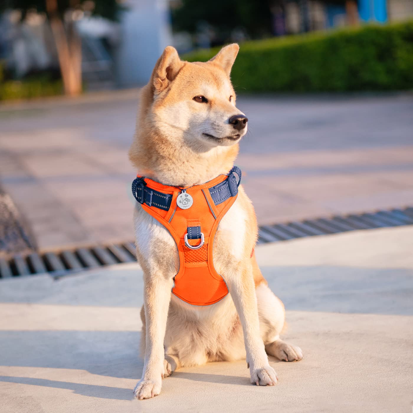 PHOEPET asa de entrenamiento trasera acolchada para control suave.